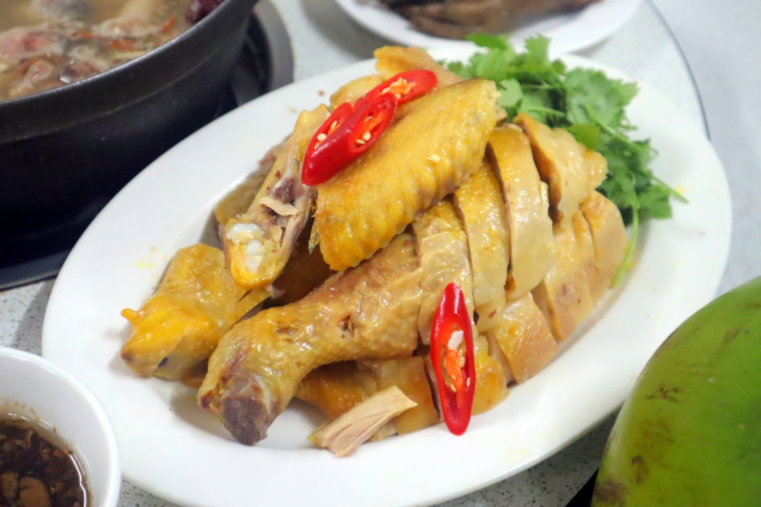 【廣式養生功夫雞】台中南屯美食推薦，隱藏版椰子雞湯超鮮甜，白切雞皮Q肉嫩必吃 @猴屁的異想世界