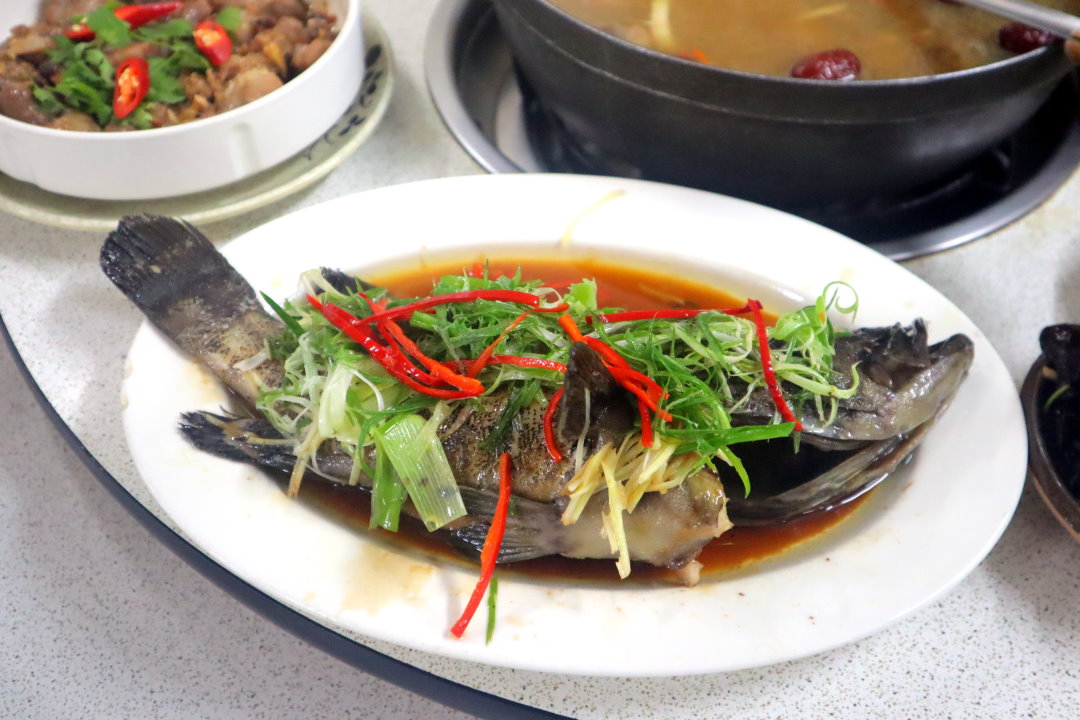 【廣式養生功夫雞】台中南屯美食推薦，隱藏版椰子雞湯超鮮甜，白切雞皮Q肉嫩必吃 @猴屁的異想世界