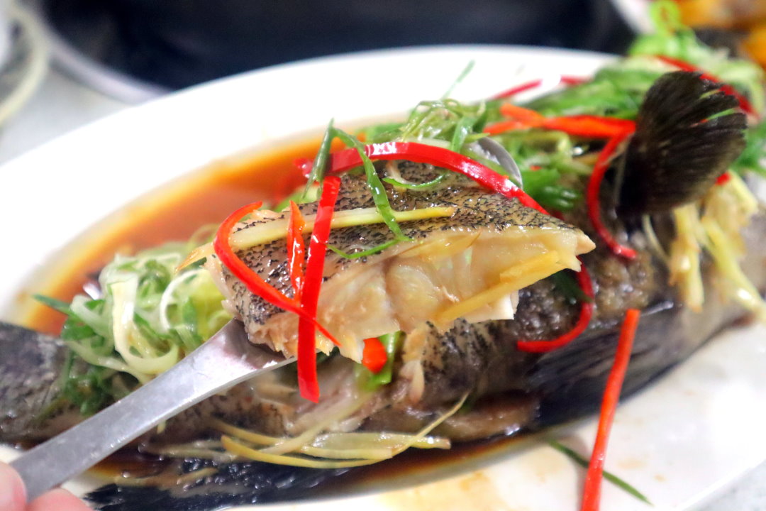 【廣式養生功夫雞】台中南屯美食推薦，隱藏版椰子雞湯超鮮甜，白切雞皮Q肉嫩必吃 @猴屁的異想世界