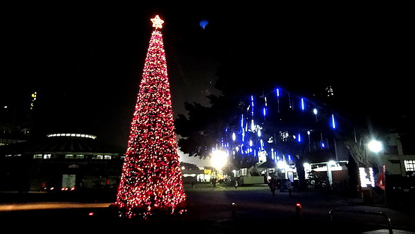 【台北新莊】天主教輔仁大學聖誕燈海！一年一度的浪漫氛圍！