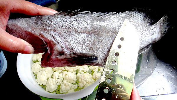 鱻活一號｜團購美食，來自台灣屏東有身分證的鮮活魚 @猴屁的異想世界