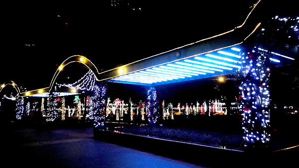 新北耶誕城｜板橋景點推薦，新北市政府夢幻聖誕城，耶誕樹點燈倒數一天 @猴屁的異想世界