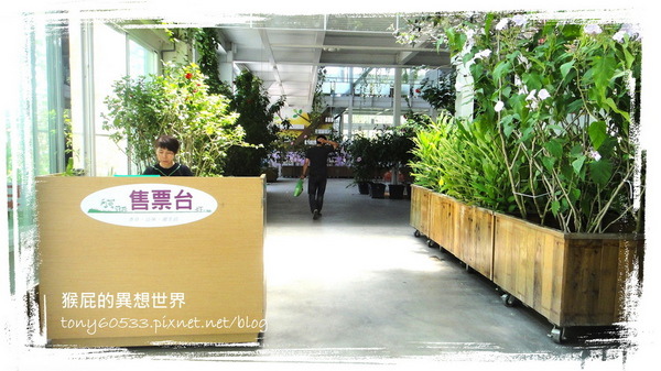 香草菲菲｜宜蘭景點推薦！花是愛偶像劇取景地，芳香植物博物館好拍又好逛 @猴屁的異想世界