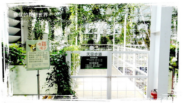 香草菲菲｜宜蘭景點推薦！花是愛偶像劇取景地，芳香植物博物館好拍又好逛 @猴屁的異想世界