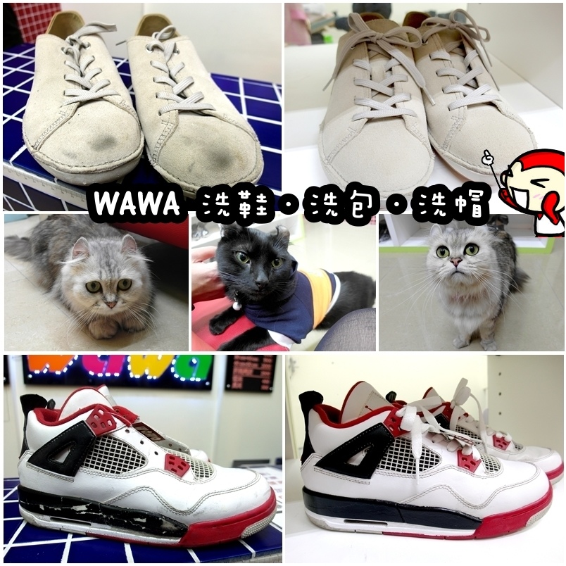 【台北新莊】WAWA專業洗鞋、洗包、洗帽店！洗完跟全新的一樣好神奇！還有可愛店貓歐！