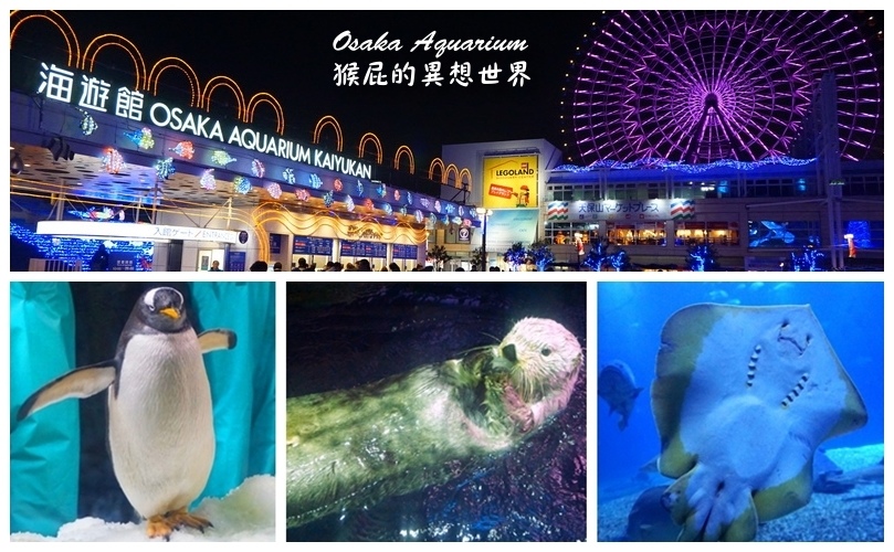【日本景點】日本大阪自由行-大阪海遊館一日遊！號稱世界最大的水族館，就像在海底世界一樣，還可以親手摸到海洋生物！動物餵食秀超可愛！(海遊館交通、海遊館門票、天保山摩天輪)